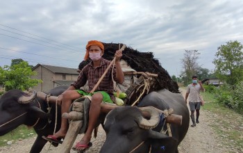 लकडाउनमा बर्दियाको जनजीवन यस्तो देखियो, यि गाउँमा न वोर्क फ्रम होम गर्न मिल्छ न सरकारले कुनै राहत दिने आशनै छ(फोटो फिचर) 